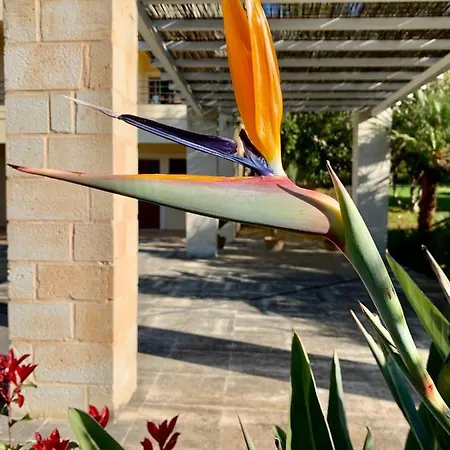 Aggelos And Thisbe Chania Suburbs Sea View Casa vacanze